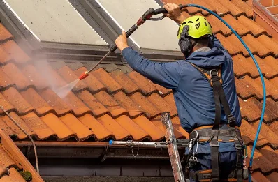 Démoussage et hydrofuge de toiture à Terjat